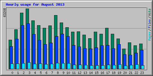 Hourly usage for August 2013